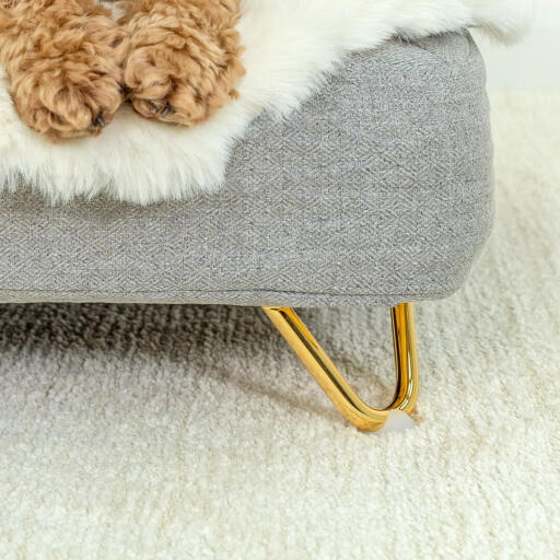 Close up of dog sitting on Omlet Topology dog bed with sheepskin topper and Gold hairpin feet