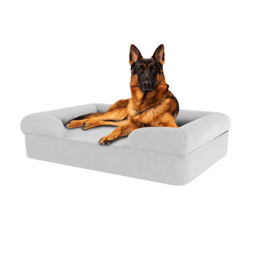 Dog sitting on stone grey large memory foam bolster dog bed