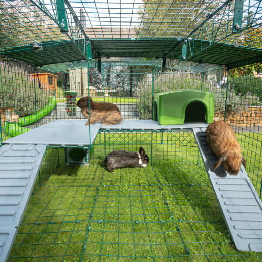 Inside Omlet Zippi rabbit playpen with Zippi platforms, green Zippi shelter and three rabbits