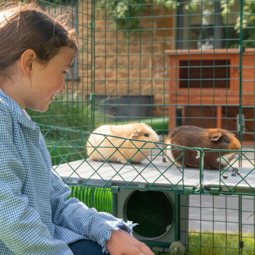 Children will love being able to interact and bond with their pets at eye level.