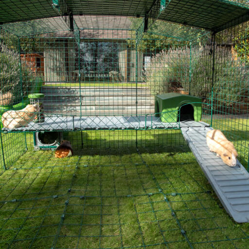 Increase the usable space in your enclosed Zippi Run with exciting levels for pets to explore.