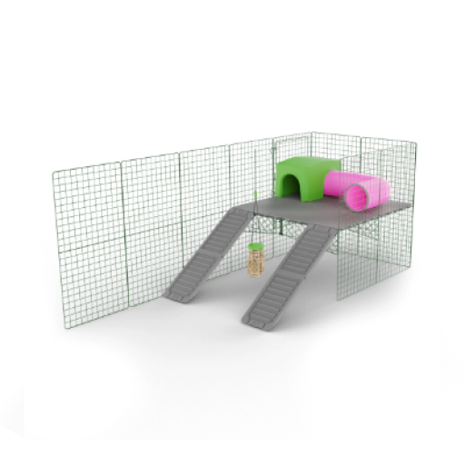 Zippi platform with two ramps a shelter and a tunnel and a treat Caddi