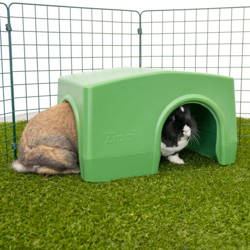 Zippi shelter rabbit green