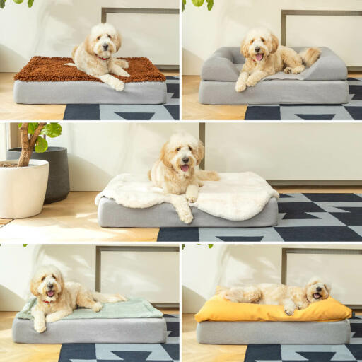 Woody the Goldendoodle enjoys a range of different toppers on his medium sized bed, and his owner loves how they all look great in the home.