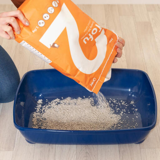 Pouring Omlet tofu cat litter into litter tray