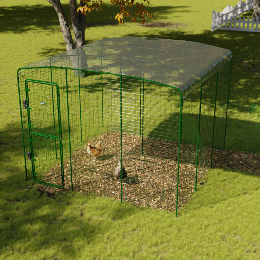 Clear chicken run cover for walk in run 3x3