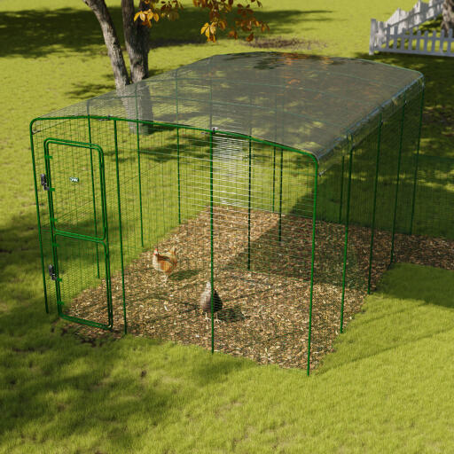 Clear chicken run cover for walk in run 3x4