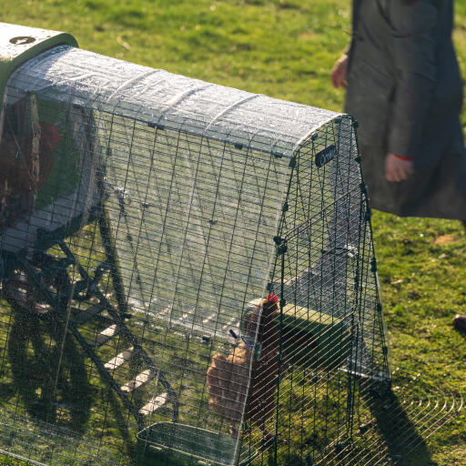 Eglu Go up chicken coop with run clear cover