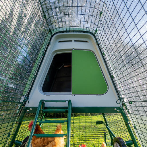 Eglu Go up chicken coop with run clear cover