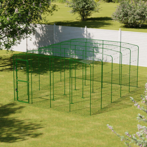 Extra wide walk in run enclosure