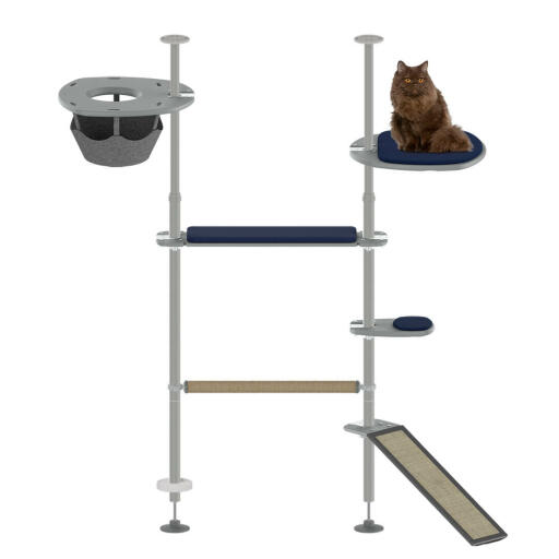 The gym kit outdoor Freestyle cat pole system set up