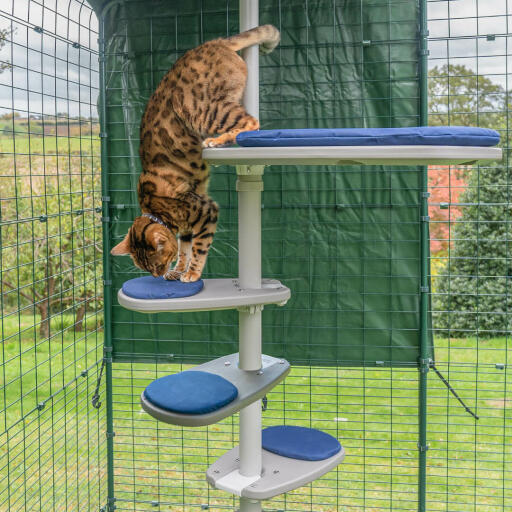 Outdoor cat tree