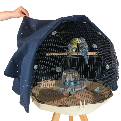 Cage for two best sale budgies