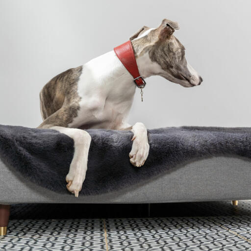 The beds look great in all rooms, so your dog can relax where you are.