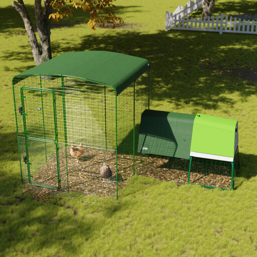 Heavy duty chicken run cover for walk in run in a garden 2x2