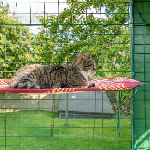 Cat laying down on red outdoor waterproof cat shelf in catio