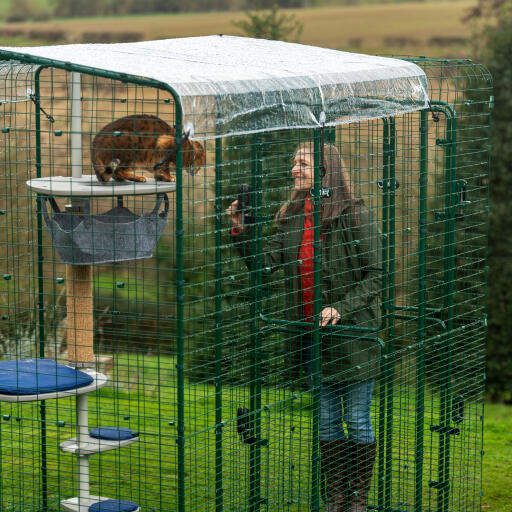 Owner with her cat entering a walk in run with clear cover