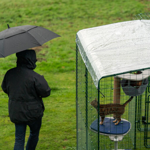 Owner with umbrella next to cat in a walk in run with clear cover