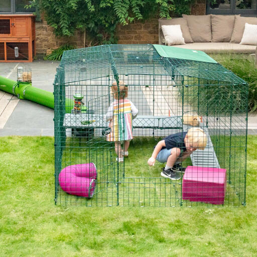 Little boy and girl in their Omlet Zippi run with a guinea pig, Omlet Zippi platforms, Zippi guinea pig shelter and tunnel