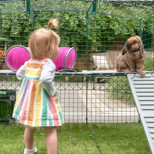 Children will love mixing up their bunnies run with new levels and watching them explore their adventure playground.