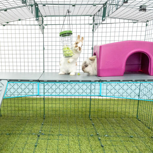Zippi Platforms come with strong wire supports to ensure they don’t flex or bend when your rabbits are on them.