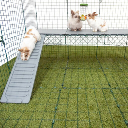 Omlet Zippi rabbit playpen with Zippi platforms, Caddi treat holder and three rabbits