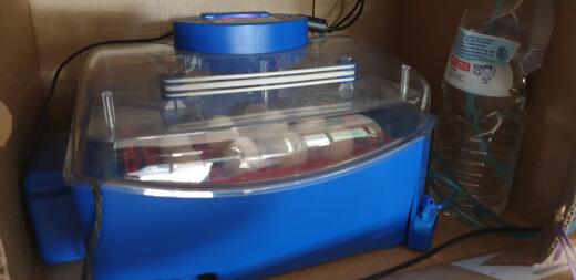 Borotto incubator automatic egg turning. 