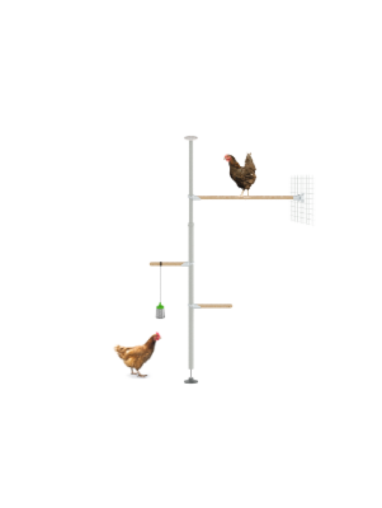 Pole Tree Chicken Perch - The Eggcercise Kit - 1.70 - 2.15m