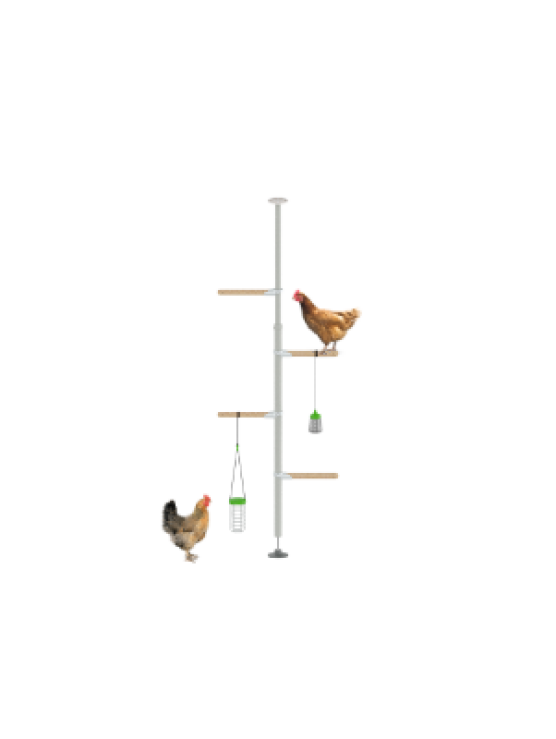 PoleTree Chicken Perch - The Hentertainment Kit - 1.70 - 2.15m