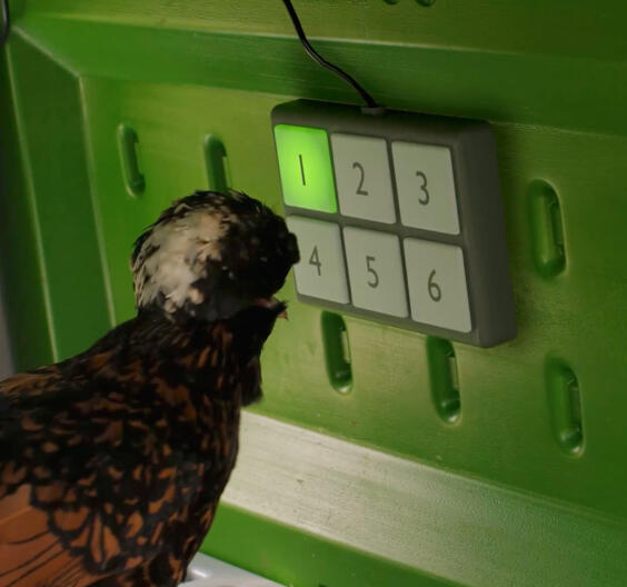 April fools animal products