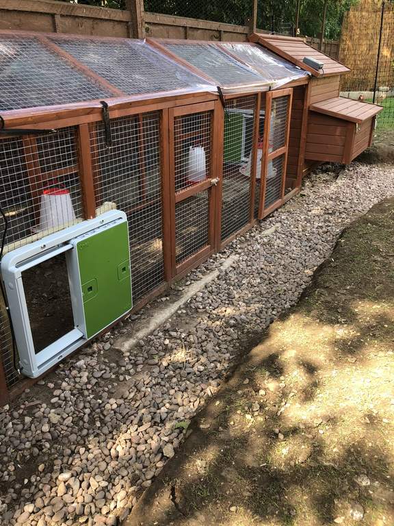 automatic chicken coop door design automatic chicken coop door design