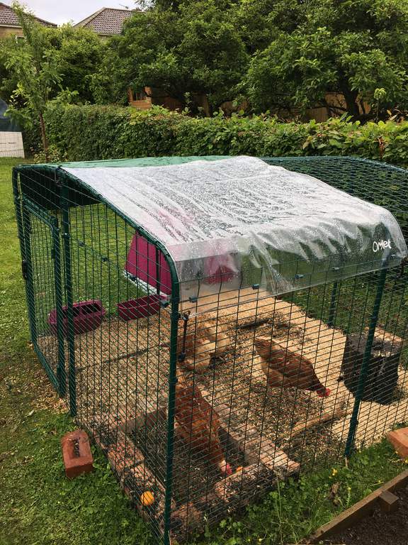 Combi Cover For Walk In Chicken Run 2m Roof Outdoor Walk In