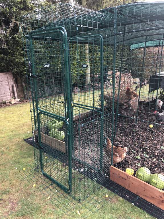 Walk in Chicken Run Porch Chicken Runs and Chicken Netting Chicken