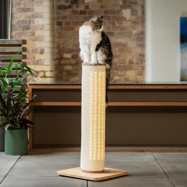 Cat Scratchers