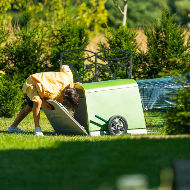 A child opening back door of the Eglu Go Hutch attached to run.