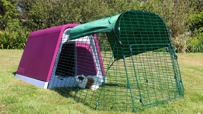 Eglu Go Guinea Pig Hutch Eglu Go Guinea Pig Hutch