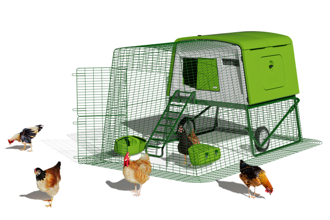 Eglu Cube large chicken coop for up to 10 hens