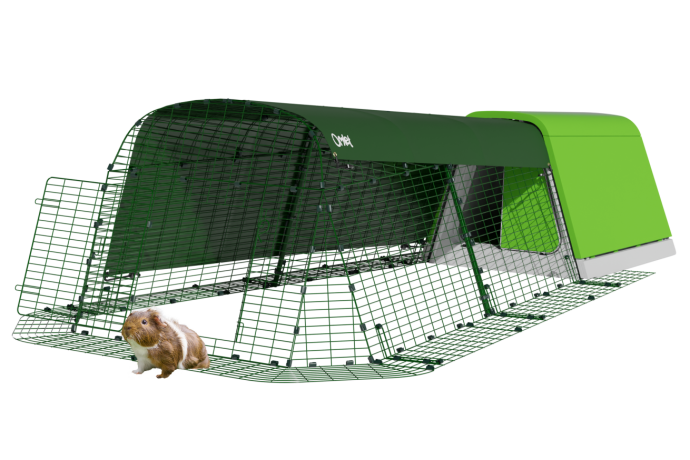 Eglu Go guinea pig hutch