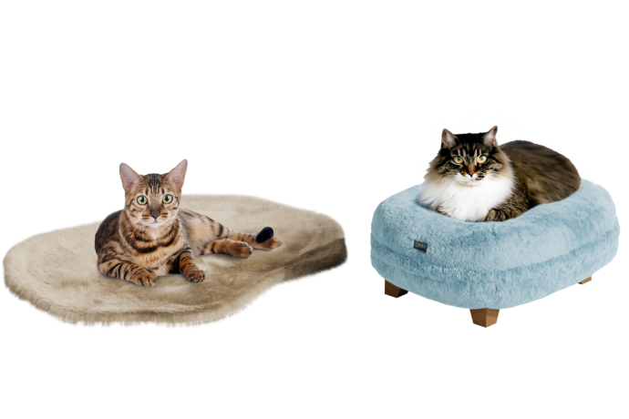 Cats sleeping in cat beds