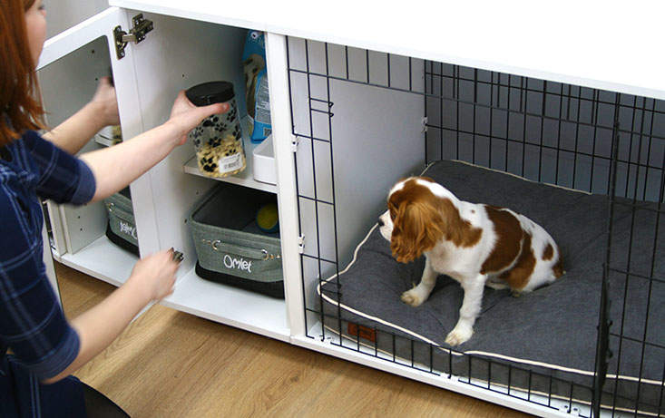 dog box with storage