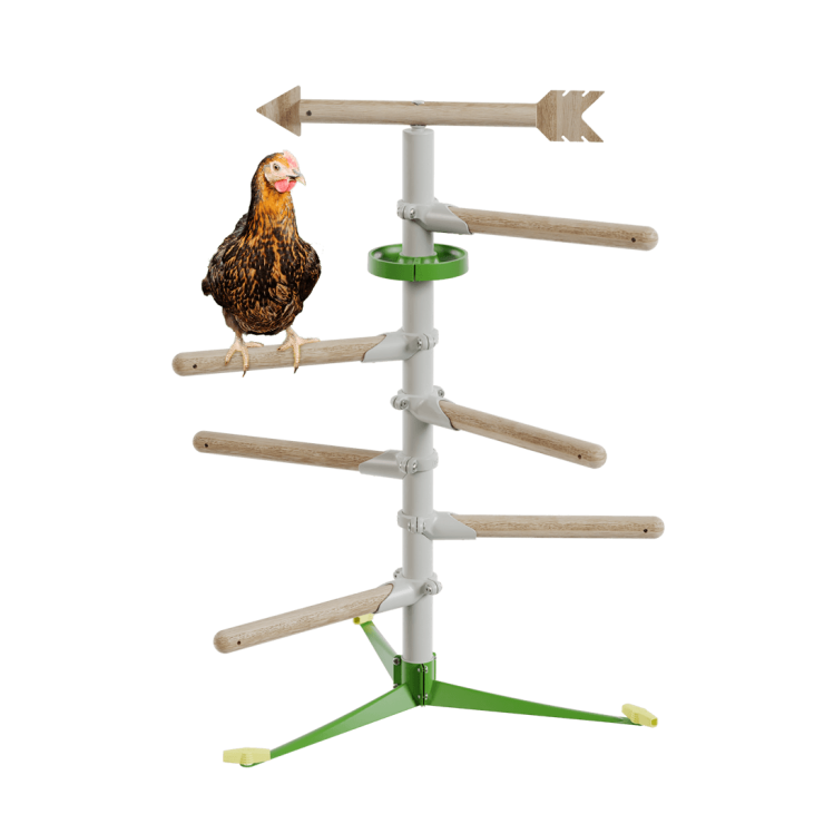 Freestanding Chicken Perch - Hen Adventure Kit