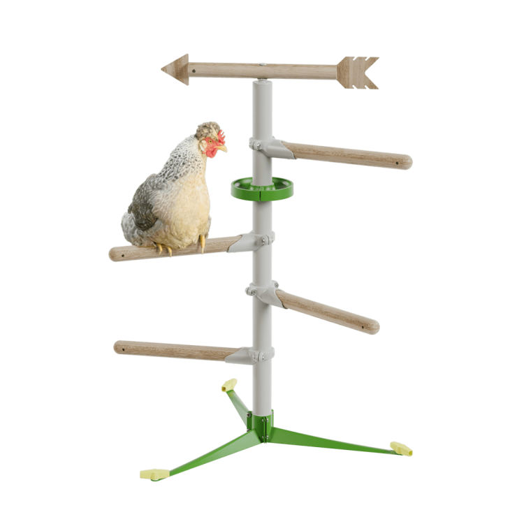 Freestanding Chicken Perch - Perching Pleasure Kit