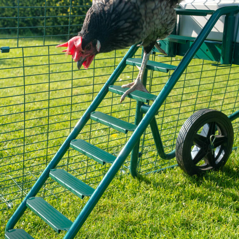 Ladder Grips Eglu Cube Chicken Keeping Spares Chicken Coops, Walk