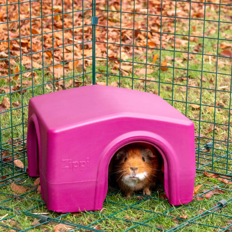 Zippi Guinea Pig Shelter Green Guinea Pig Run Accessories Guinea