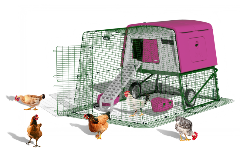 Eglu Cube purple large chicken coop card