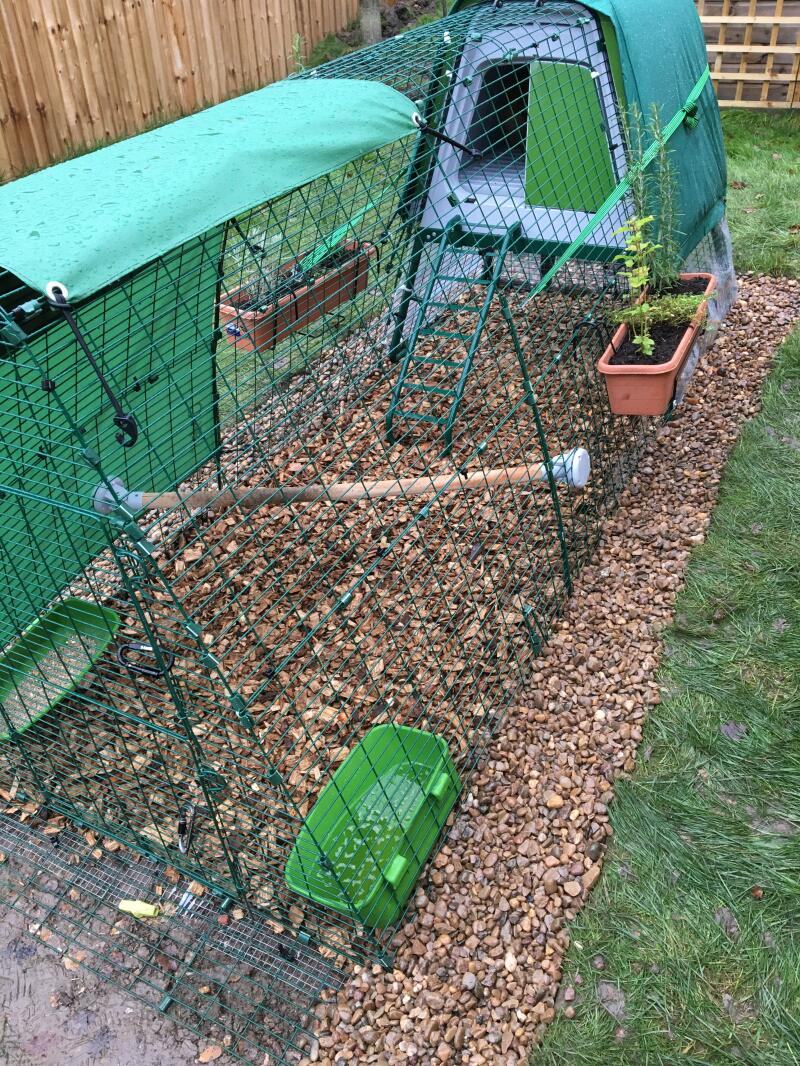 Eglu Go UP Chicken Coop Chicken Coops, Walk in Chicken Runs, Chicken