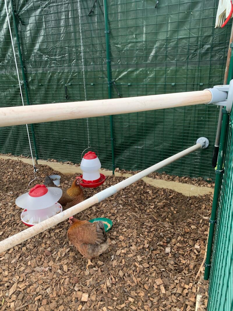 Omlet The Omlet Chicken Perch Chicken Coops, Walk in Chicken Runs