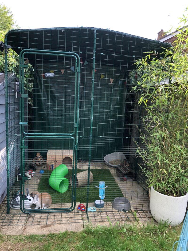 rabbit enclosures outdoor