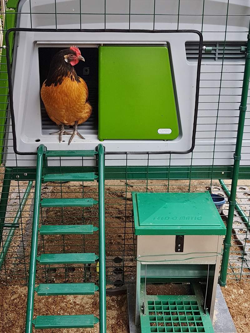Reviews for Eglu Cube Chicken Coop Chicken Keeping Omlet