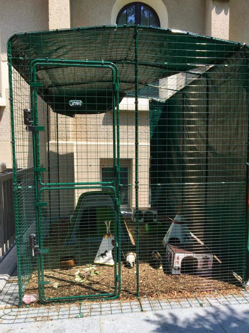 Outdoor Guinea Pig Run Large Outdoor Guinea Pig Enclosure Omlet